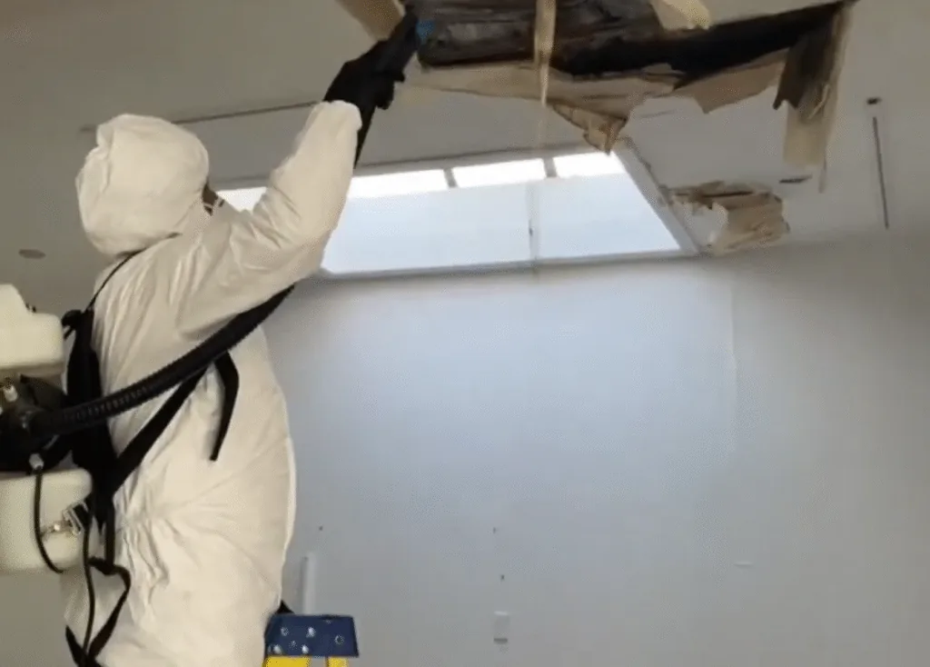 Mold remediation containment in Superior AZ 85173
